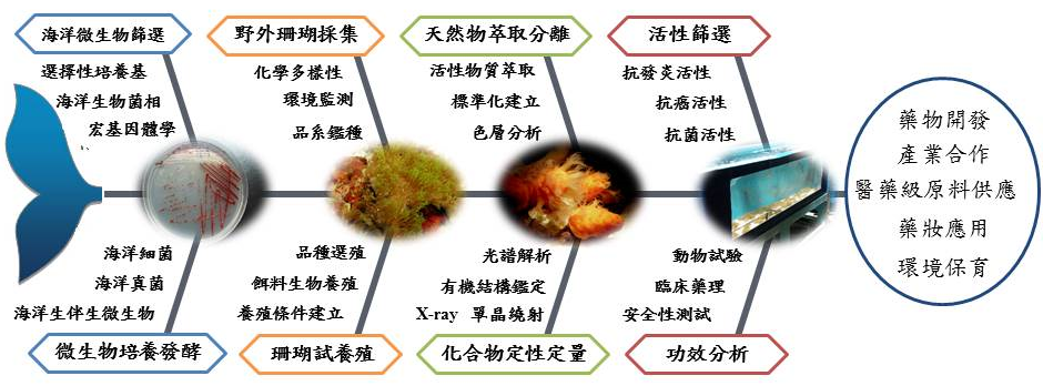 海洋天然物研究